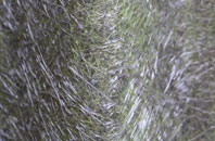 Easton Grey fibreglass roof work